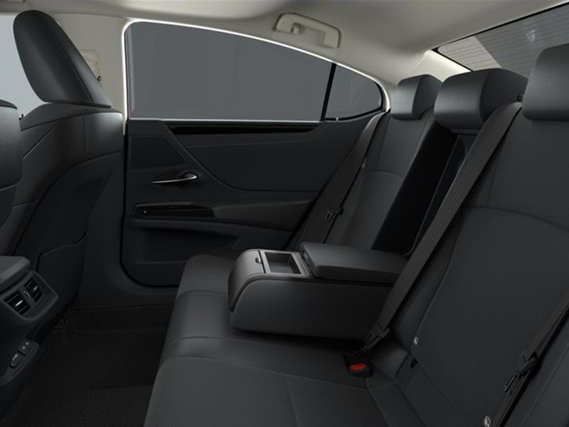 Lexus ES (od 03/2019) 300h Business Edition