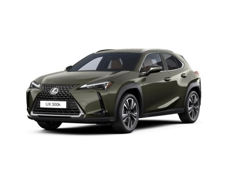 Lexus UX 300h Business Tech