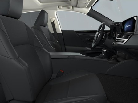 Lexus ES (od 03/2019) 300h Business Edition